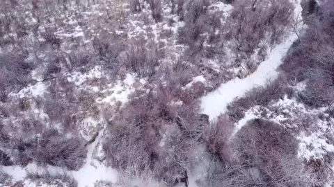 Colorado drone 03 Video stock 169980808
