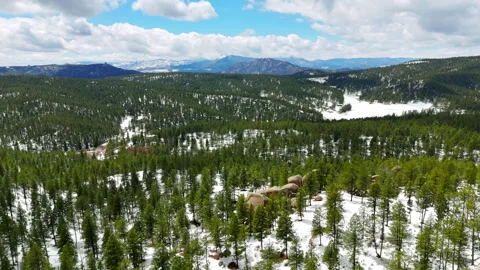 Colorado Evergreen Trees in Spring Stock Footage 274322585
