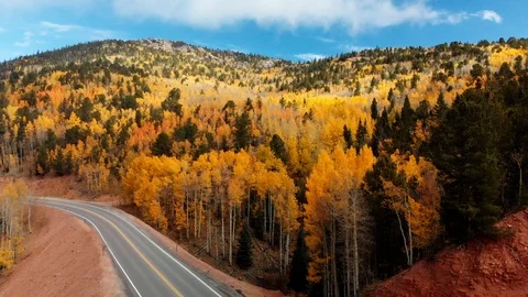 Colorado Fall Colors Stock Footage 96670533
