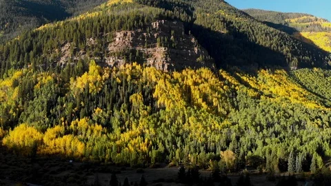 Colorado Fall Colors Stock Footage 96670536