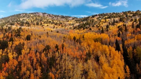 Colorado Fall Colors Stock Footage 96670557