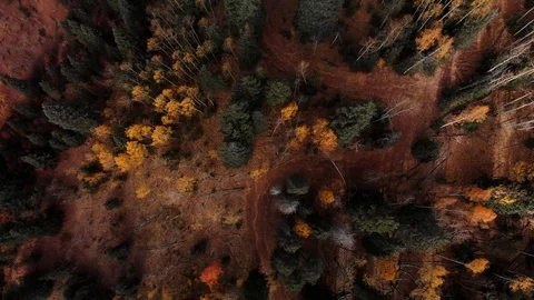 Colorado Fall Colors Stock Footage 96670579