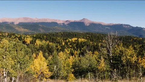 Colorado Fall Colors Stock Footage 96670730