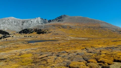 Colorado Fall Colors Stock Footage 96670787