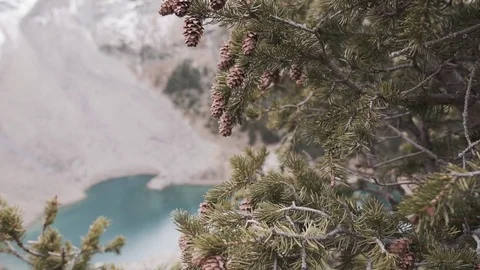 Colorado Stock Footage 100611516