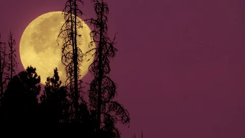 Colorado Full Moon Stock Footage 118494088