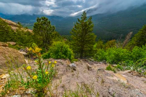 Colorado landscape Stock-Fotos
