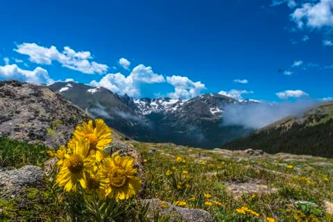Colorado landscape Stock Photos