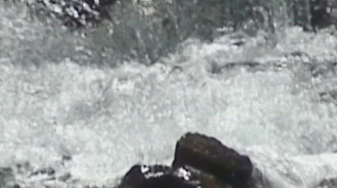 Colorado mountain stream Video stock 494378