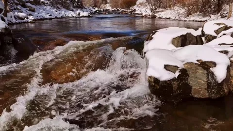 Colorado Mountain Stream Stock Footage 313811161