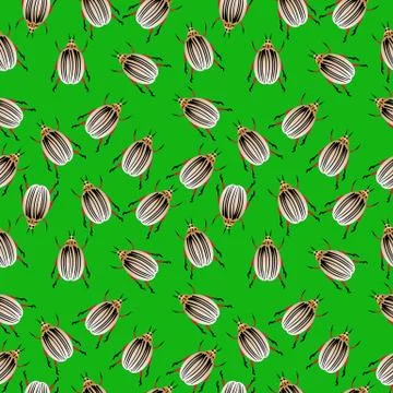 Colorado potato beetles seamless pattern Stock Illustration