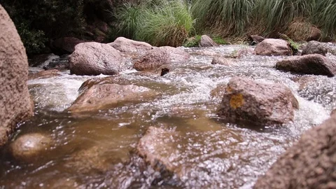 Colorado River in Cafayate Stock Footage 85963359