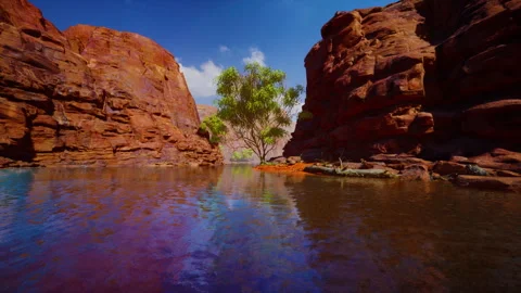 The Colorado river cutting through red sandstone canyons Stock Footage 252801695