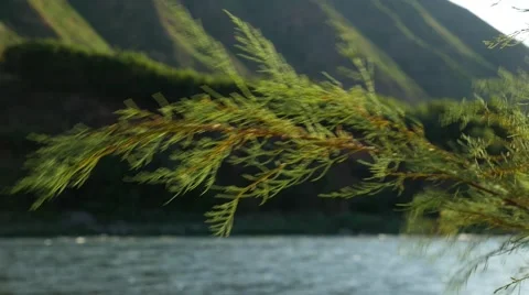 Colorado River shallow dpeth of field Stock Footage 53858295