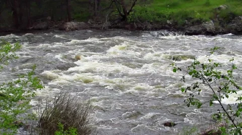 Colorado River in spring Stock Footage 67321224