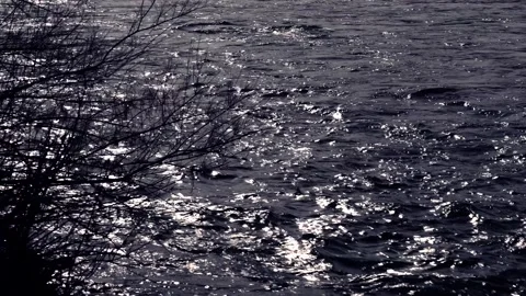 Colorado River winter flow past Grand Junction, Colorado Video stock 328618568