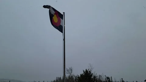 Colorado State flag in snow Stock Footage 239532769