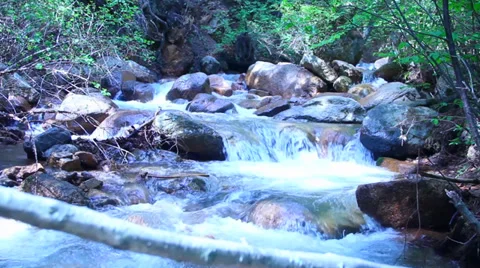 Colorado Stream Stock Footage 38971439