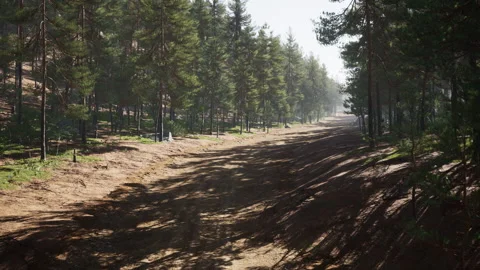 Colorado trail among the pine trees with the mountains Video stock 231812908