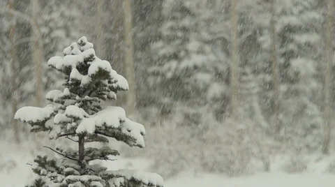 Colorado Winter 库存影片 31983149