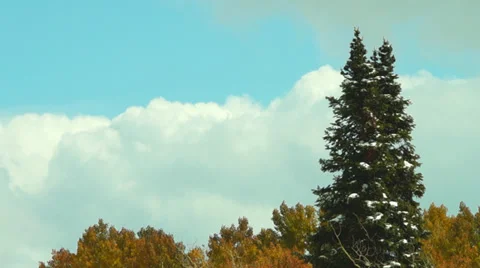 Colorado Winter Video stock 32009134