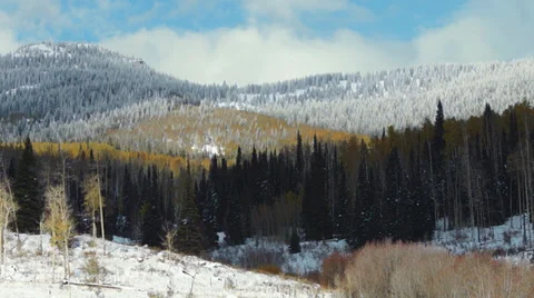 Colorado Winter Stock Footage 32063981