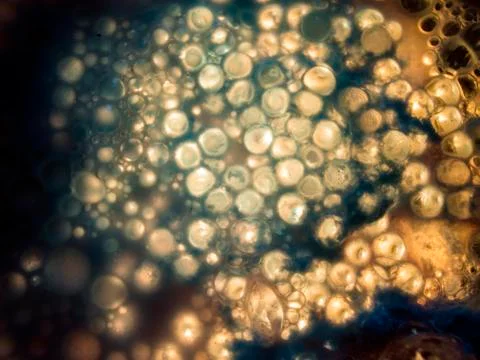 Colored abstractions Stock Photos