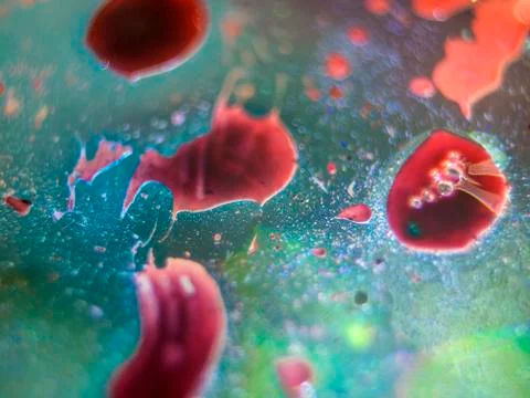 Colored abstractions Stock Photos