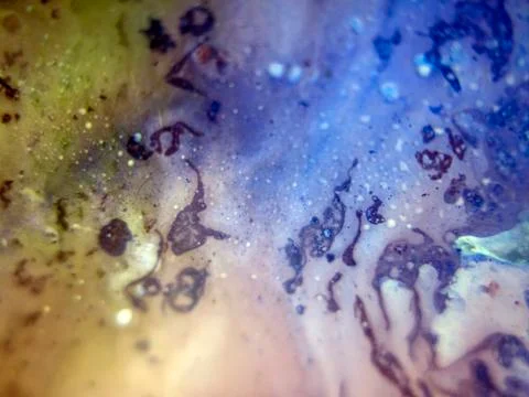 Colored abstractions Stock Photos