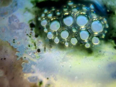 Colored abstractions Stock Photos