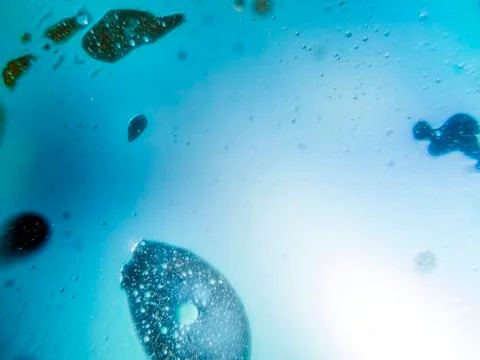 Colored abstractions Stock Photos