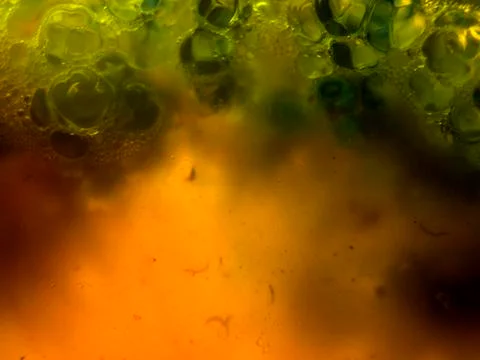 Colored abstractions Stock Photos