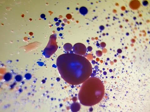 Colored abstractions Stock Photos