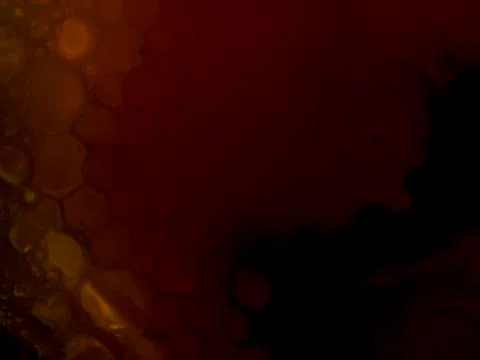 Colored abstractions Stock Photos