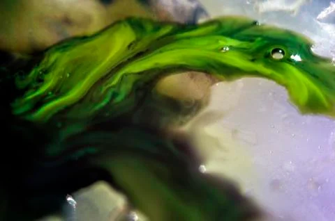 Colored abstractions Foto stock