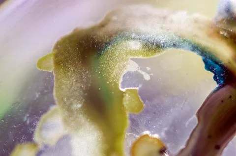 Colored abstractions Stock Photos