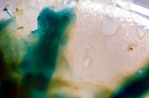 Colored abstractions Stock Photos