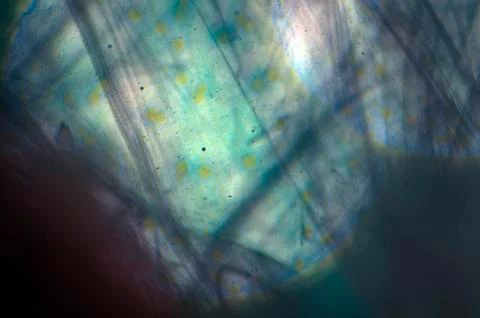 Colored abstractions Stock Photos