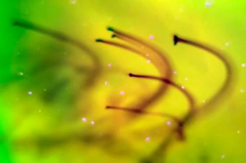 Colored abstractions Stock Photos