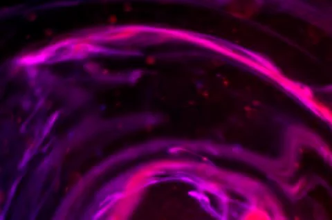 Colored abstractions Stock Photos