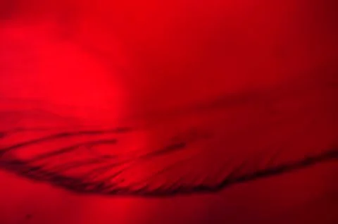 Colored abstractions Stock Photos