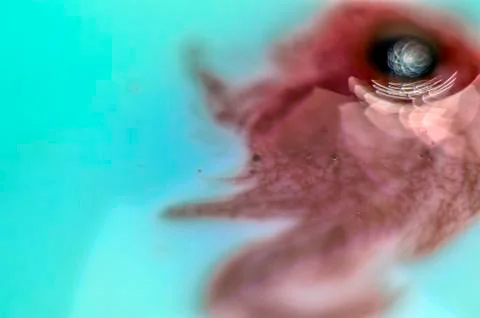 Colored abstractions Stock Photos