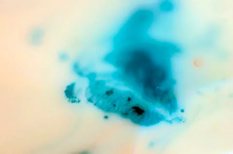 Colored abstractions Stock Photos