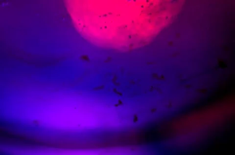 Colored abstractions Stock Photos