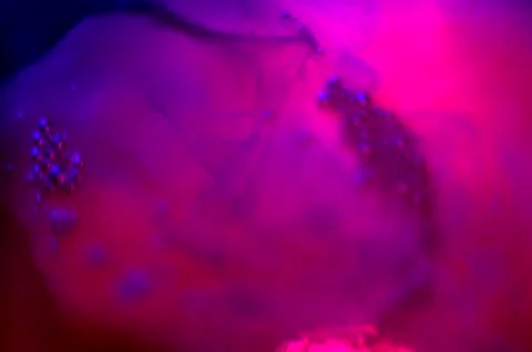 Colored abstractions Stock Photos