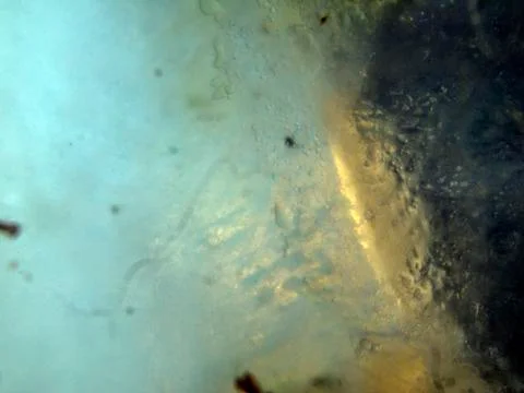 Colored abstractions Stock Photos