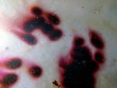 Colored abstractions Stock Photos