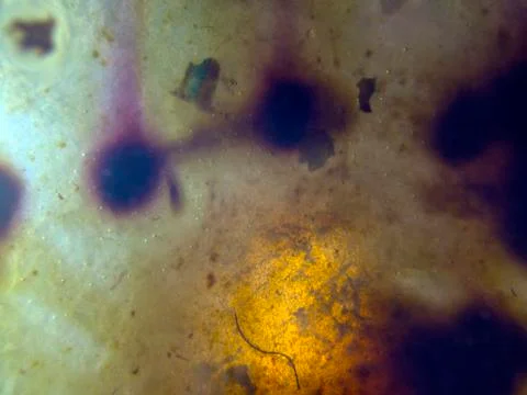 Colored abstractions Stock Photos