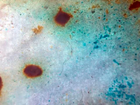 Colored abstractions Stock Photos