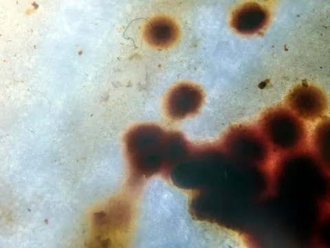 Colored abstractions Stock Photos